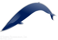whales clip art royalty free page 2